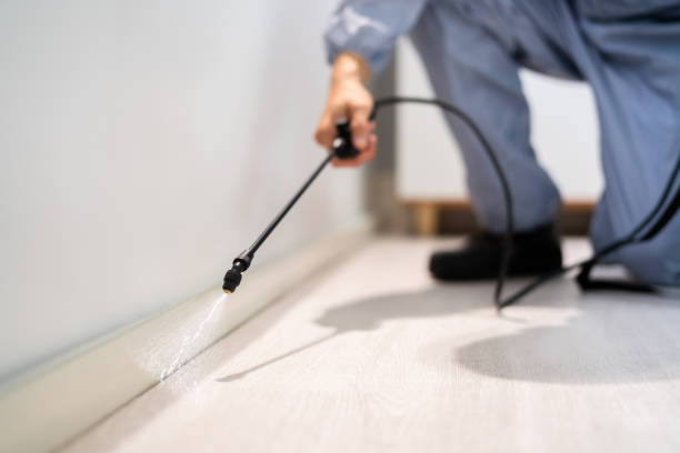 Licensed Pest Control service in Wellington, UT - Show Me Pest Control