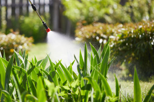 24/7 Emergency Mosquito Control experts in Wellington, UT